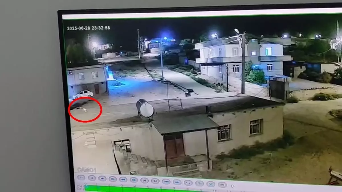 Diyarbakır\'da Kız Kaçırma Nedeniyle Cinayet