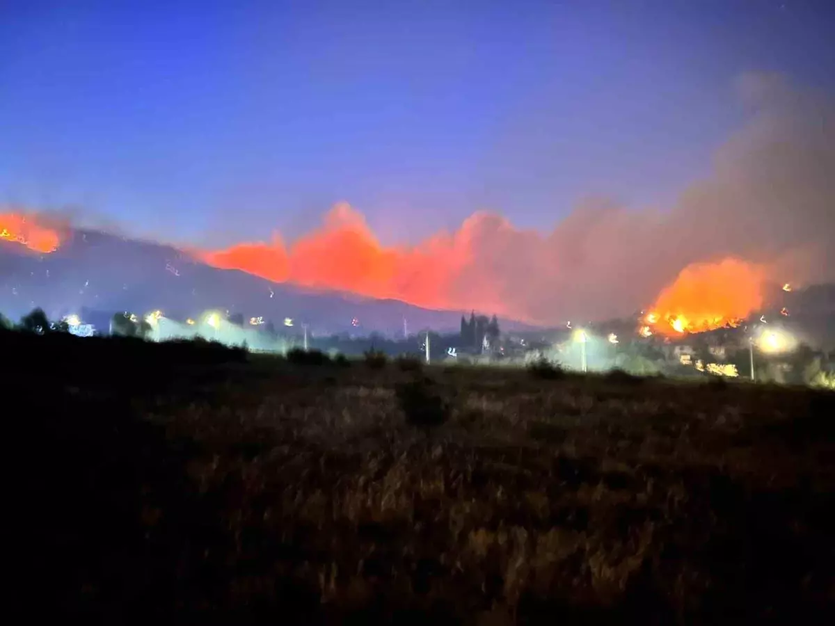 Hatay\'da Orman Yangını: 1800 Kişi Tahliye Edildi