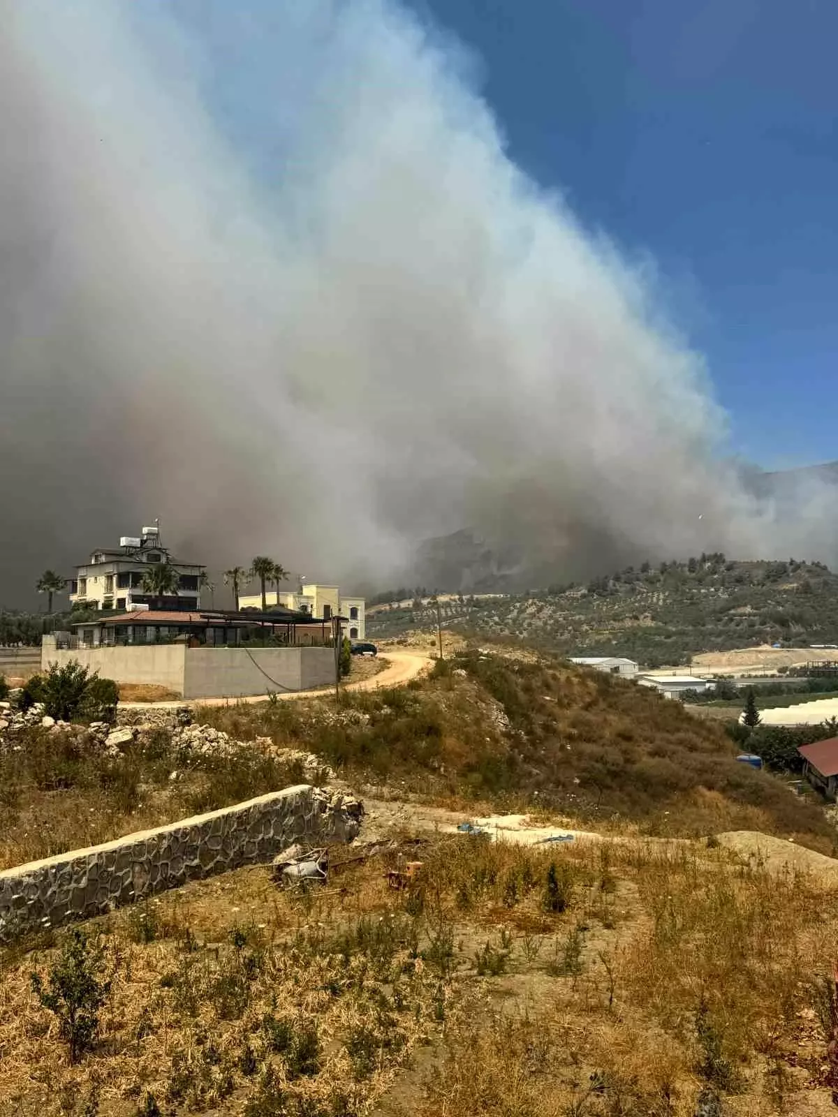 Hatay\'da Orman Yangını