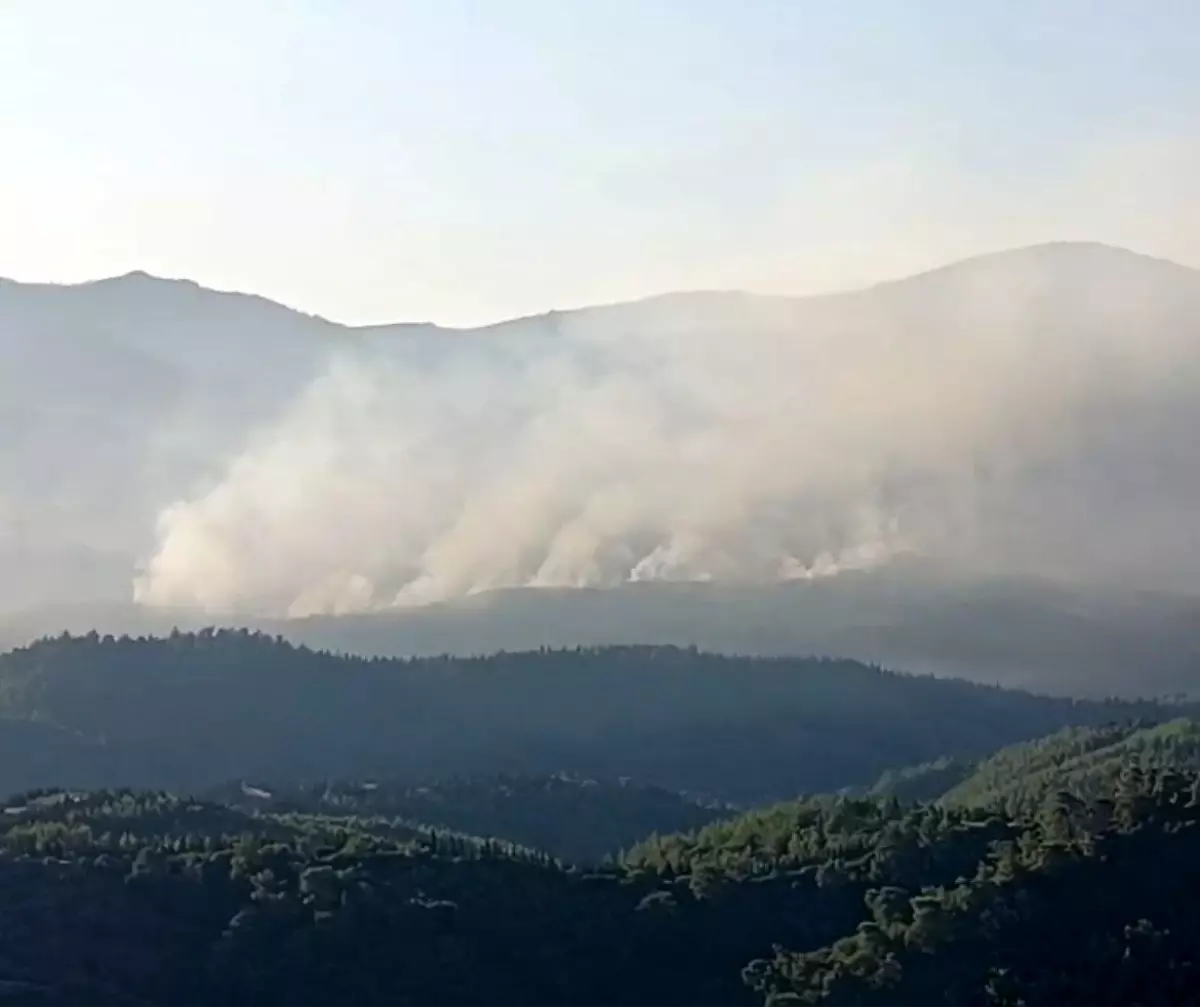 Seferihisar\'daki Orman Yangınına Hava Müdahalesi Başladı