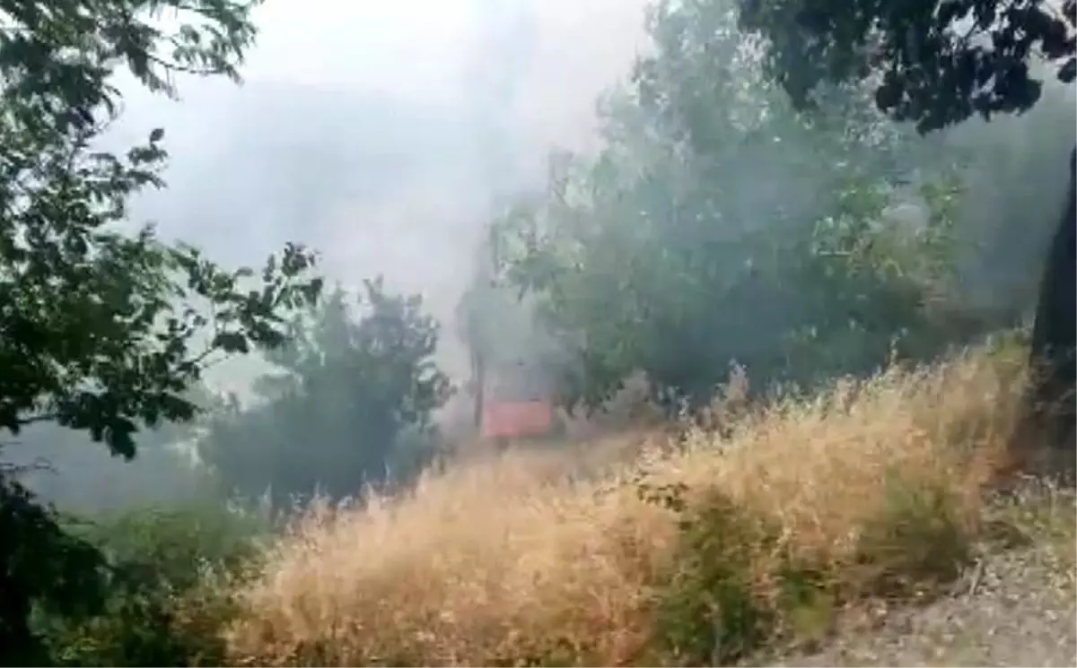 Kahramanmaraş\'ta Orman Yangını Kontrol Altında