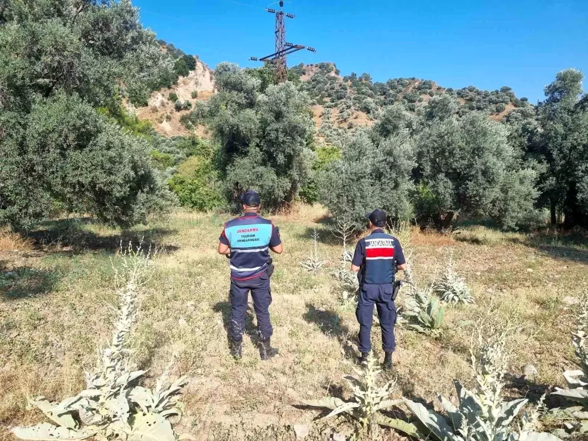 Orman Yangınına Karşı Yasaklara Uymayan 2 Kişi Yakalandı