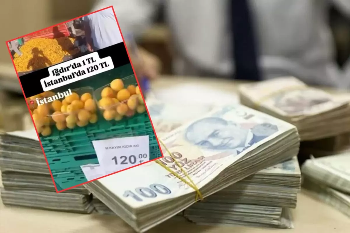 CHP\'li ismin "kayısı" yalanı pahalıya patladı! Kesilen cezaya bakın