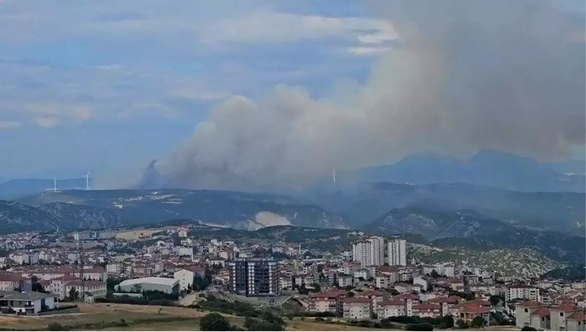 Bilecik\'te Orman Yangını Panik Yarattı