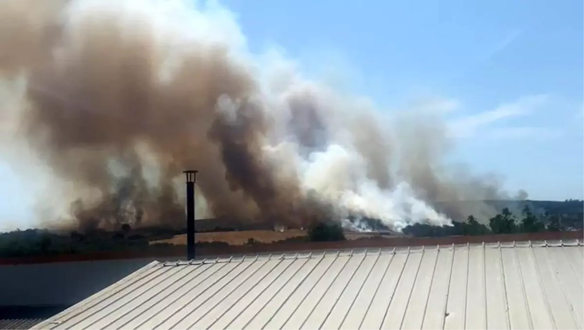 Bursa\'da Tarım Arazisinde Yangın Kontrol Altına Alındı