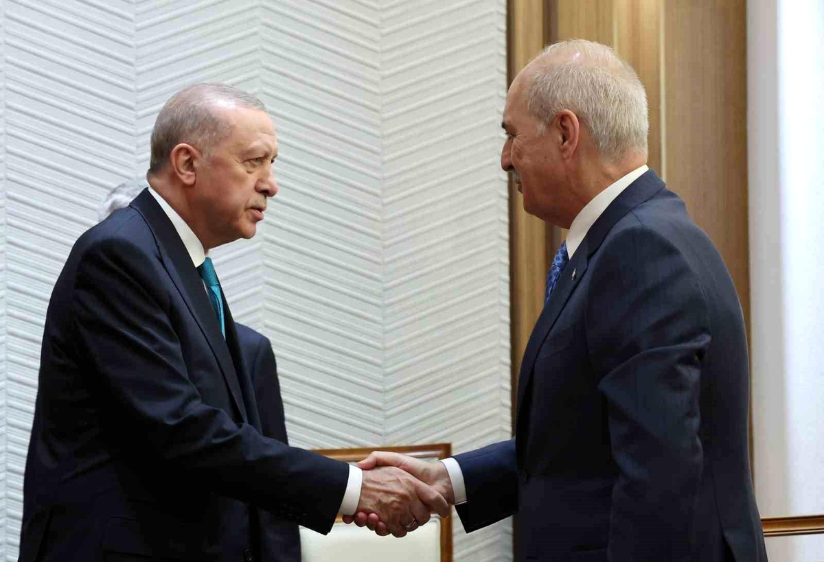 Cumhurbaşkanı Erdoğan, Irak Temsilciler Meclisi Başkanı Meşhedani\'yi kabul etti