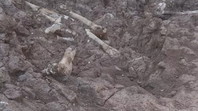 Keçi çobanının keşfettiği fosil alanı 7,7 milyon yıla tarihlendirildi