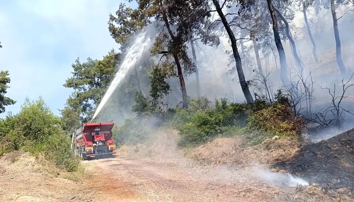Manavgat\'ta Orman Yangını Kontrol Altına Alındı