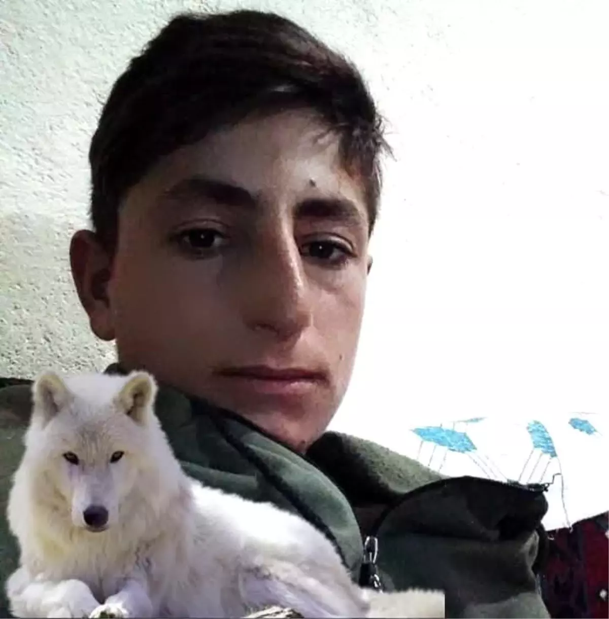 Muş\'ta İş Kazası: Genç Hayatını Kaybetti