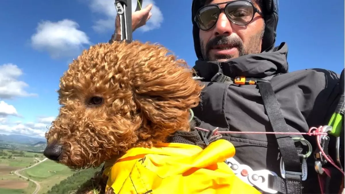 Köpek Yamaç Paraşütü İle Uçtu