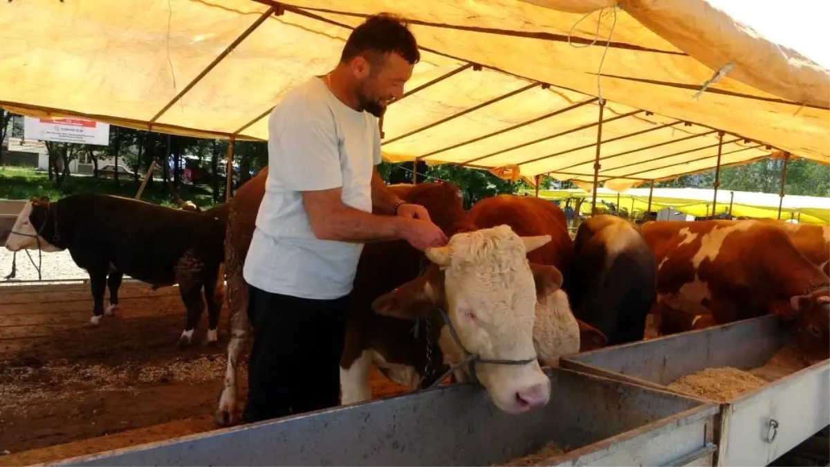 Hayvan Pazarları Kapatıldı