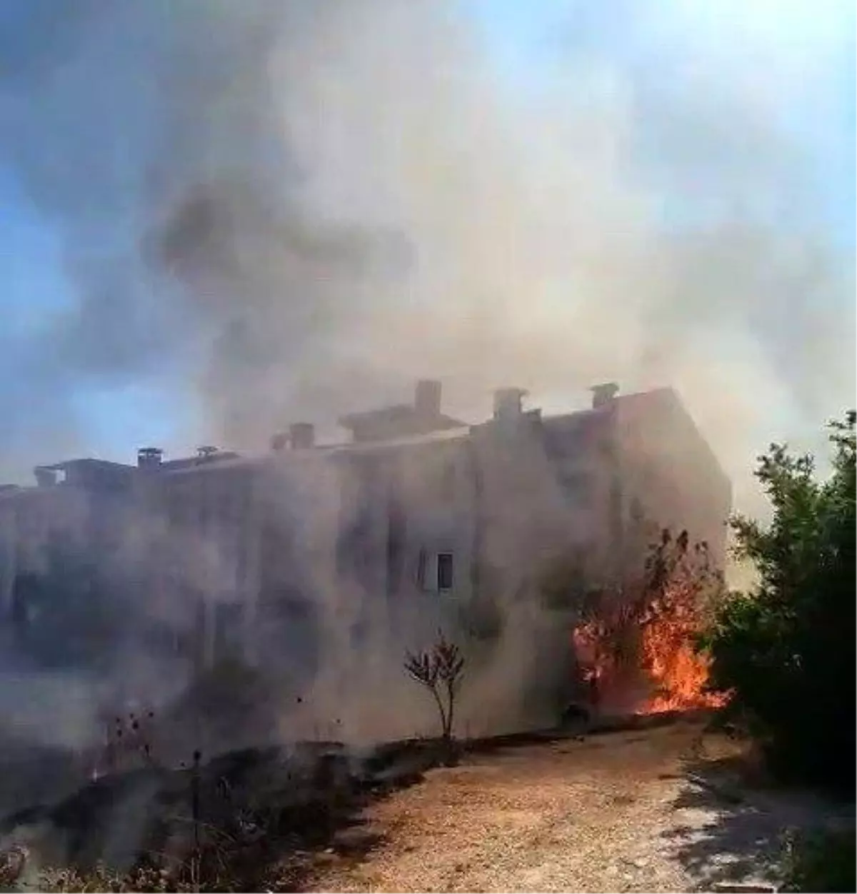 Adıyaman\'da Anız Yangını Bahçeleri Vurdu