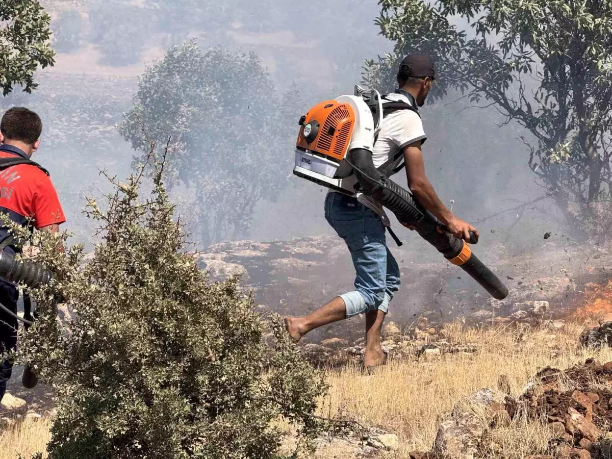 Mazıdağı\'ndaki Yangın Çiftçilerin Mücadelesiyle Söndürüldü