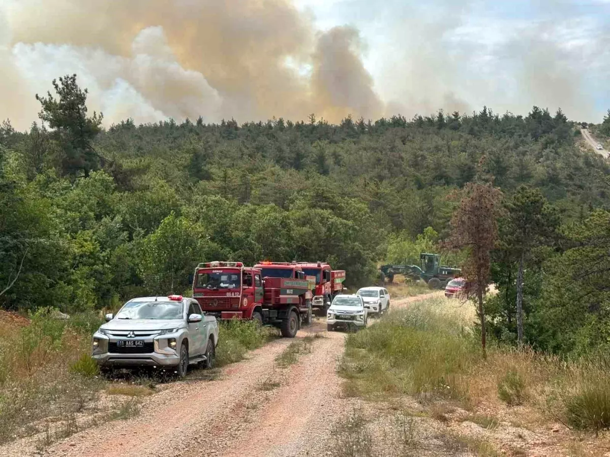 Bilecik\'te Orman Yangını Kontrol Altına Alındı