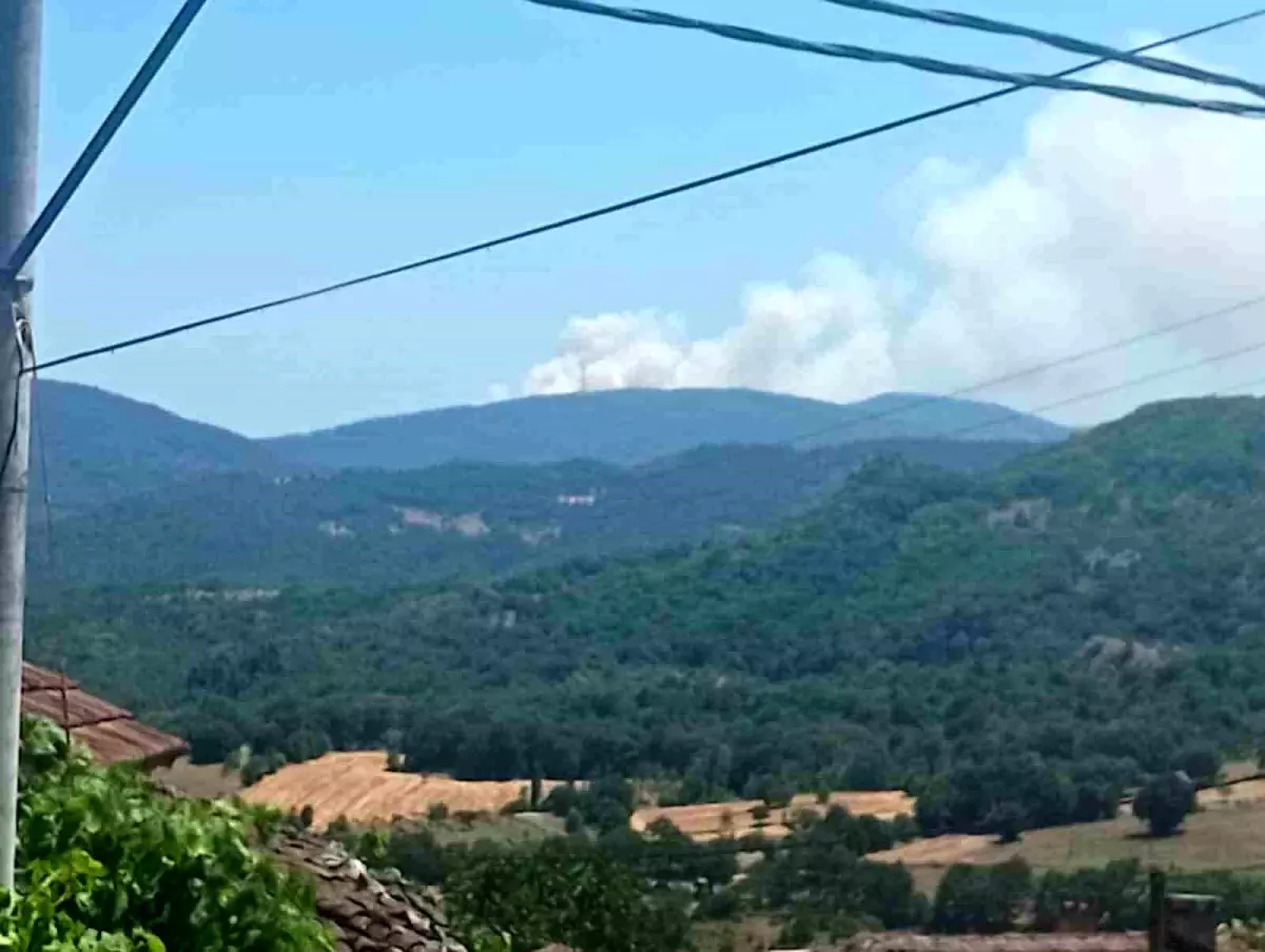 Bursa\'da Orman Yangını