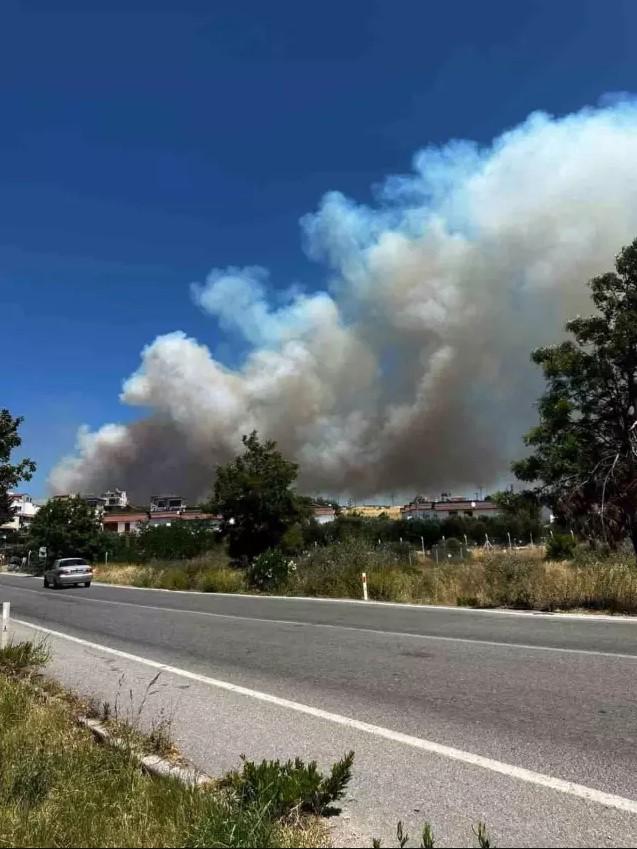 Çeşme ve Urla'da yangın! Bazı mahalleler tahliye edildi