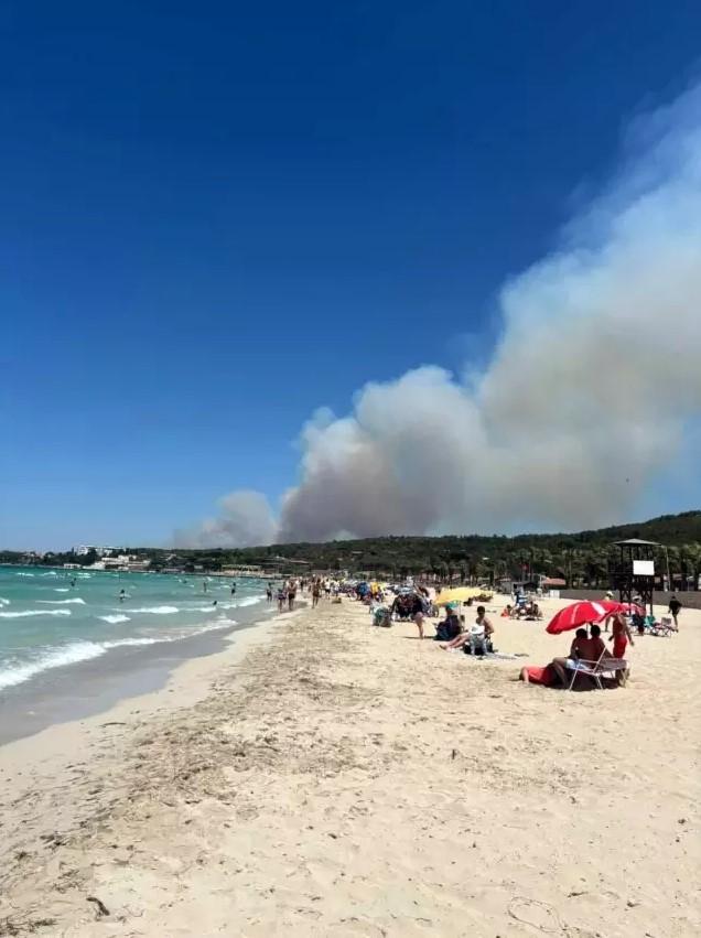 Çeşme ve Urla'da yangın! Bazı mahalleler tahliye edildi