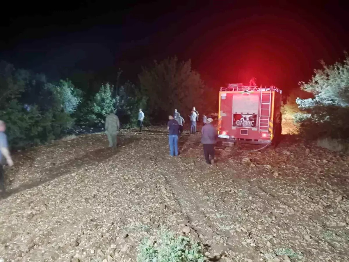 Besni\'de Çöp Yangını Ormana Sıçradı