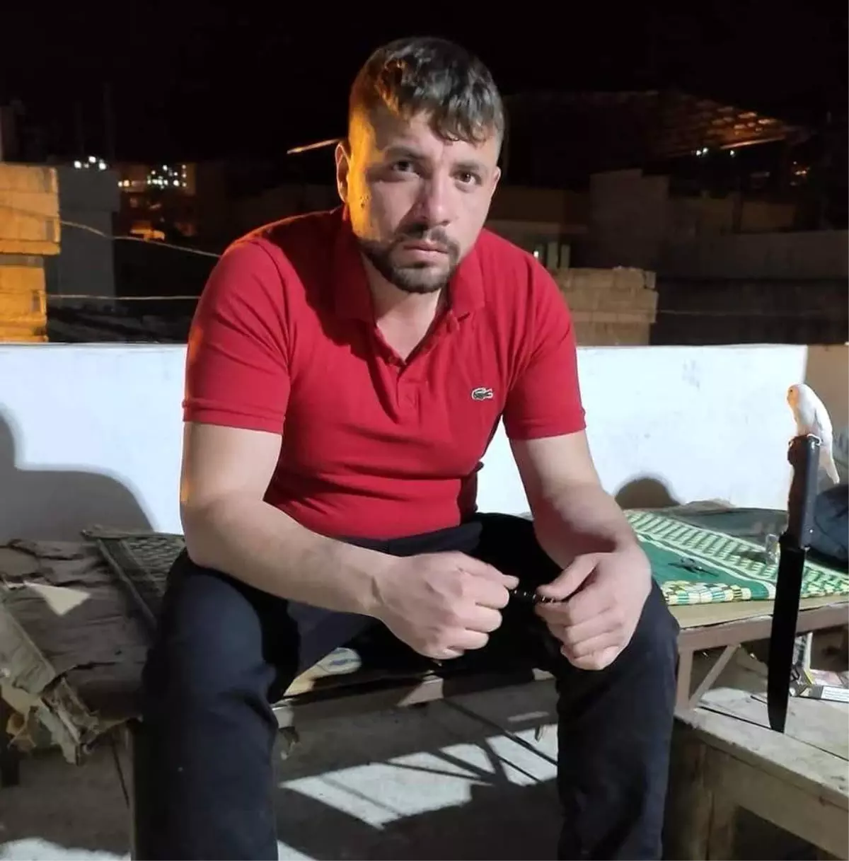 Gaziantep\'te Çoban Cinayeti: Salih Elbir Hayatını Kaybetti