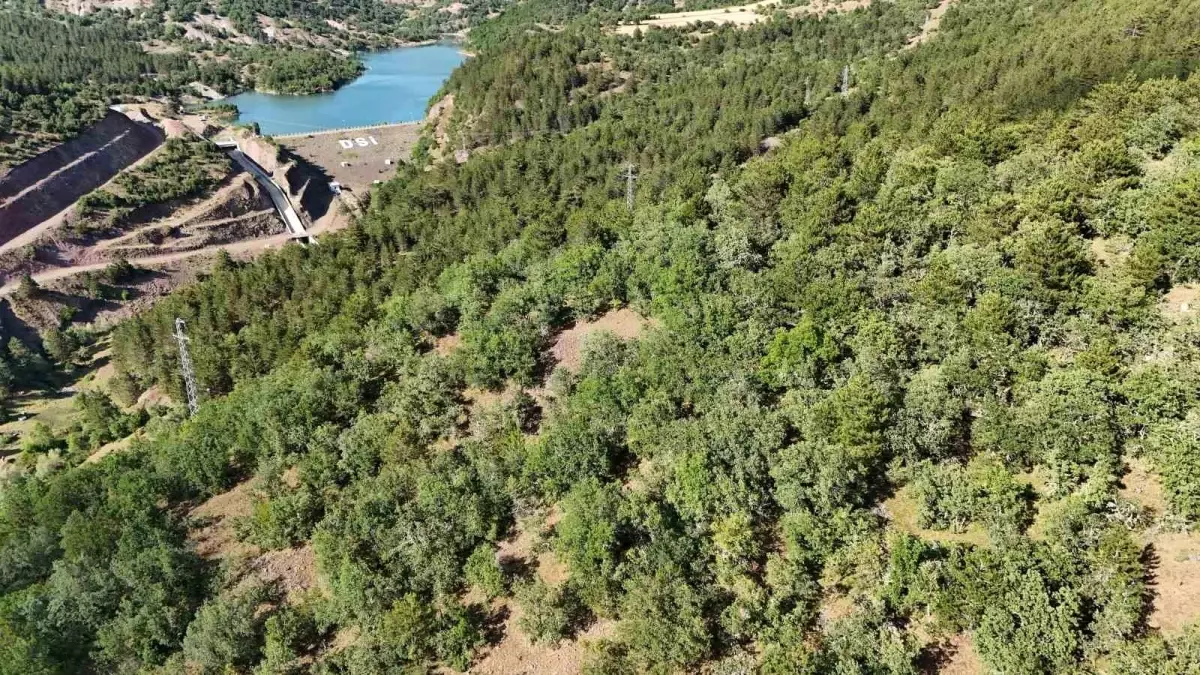 Kastamonu\'da Kayıp Hayvan İçin Dronla Arama