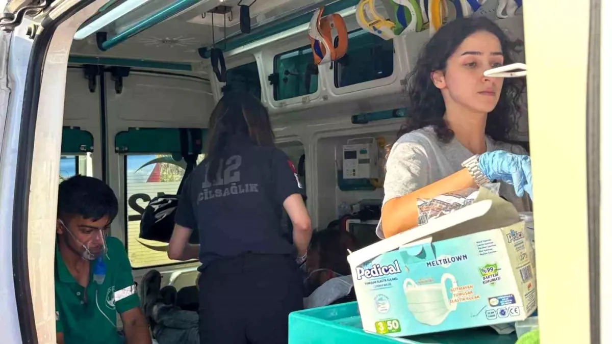 Kocaeli\'de Orman Yangını Kontrol Altına Alındı