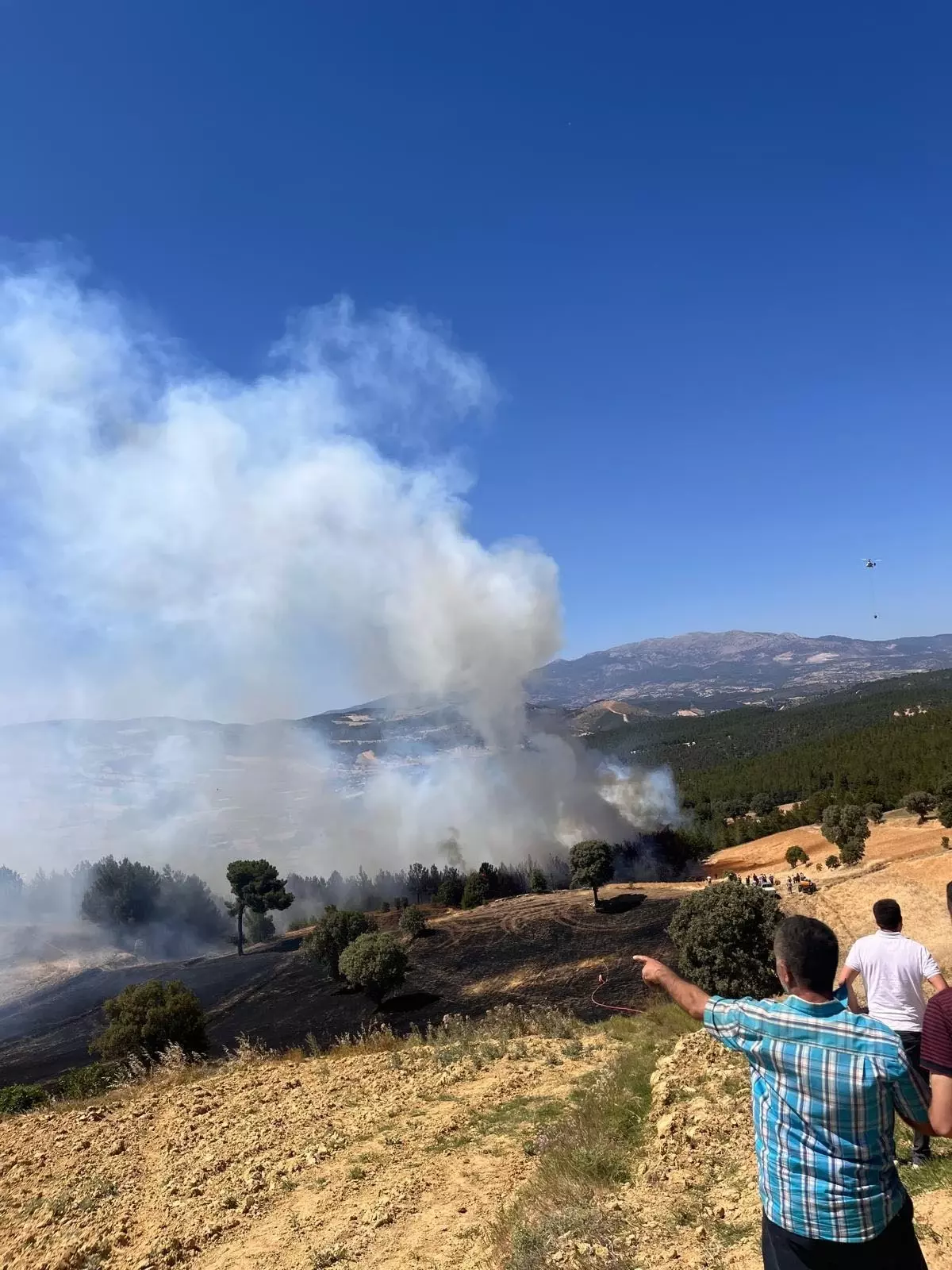 Gediz\'de Orman Yangını Çıktı