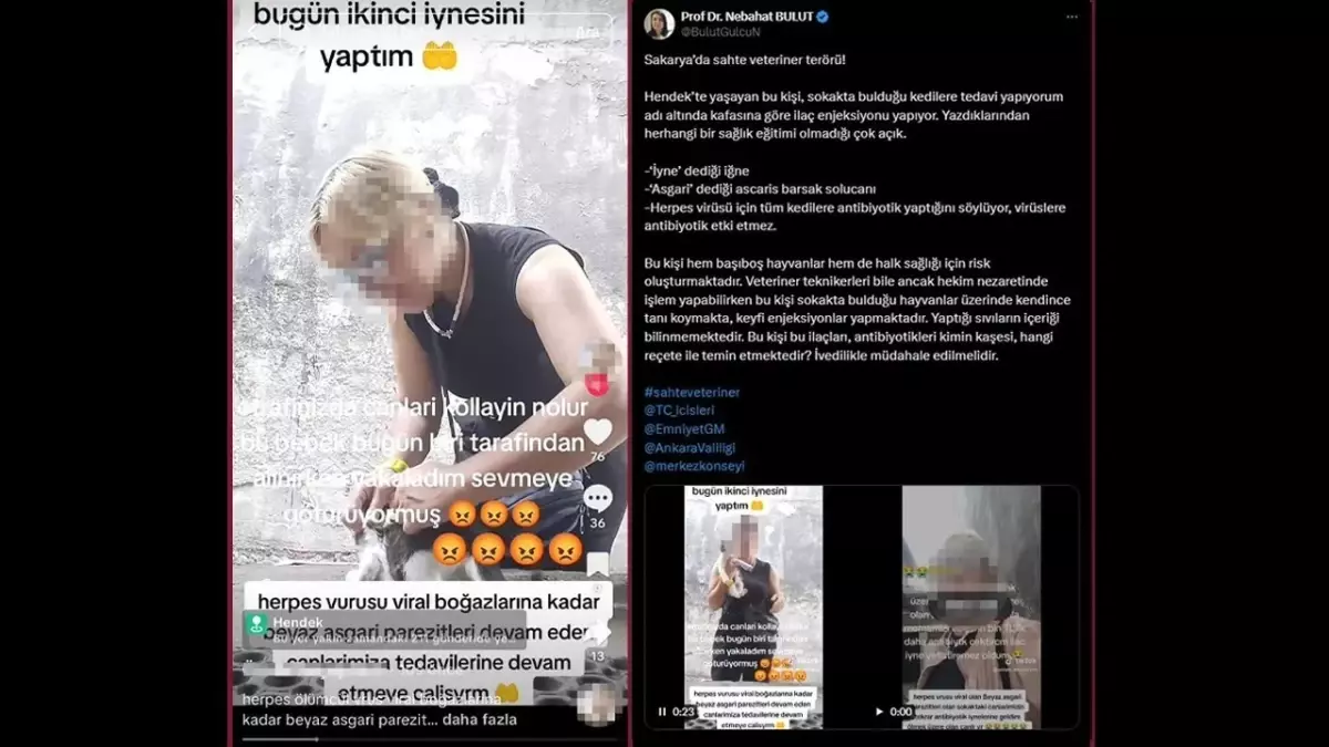 Sokak Kedilerine Keyfi İğneleme Tepki Çekti