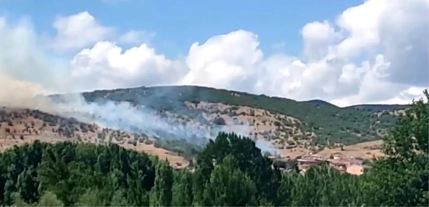 Tokat\'ta Orman Yangını Kontrol Altında