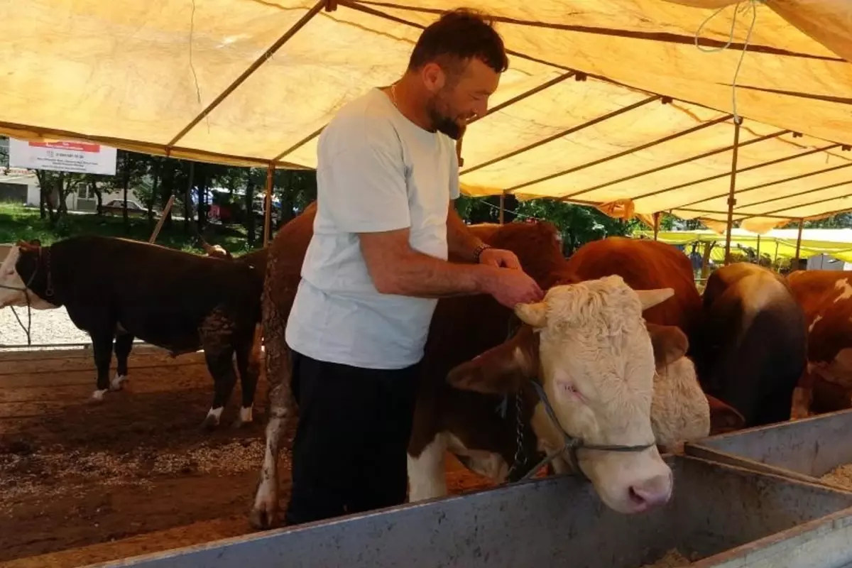 Türkiye\'de şap hastalığı alarmı! Bakandan kırmızı et açıklaması geldi