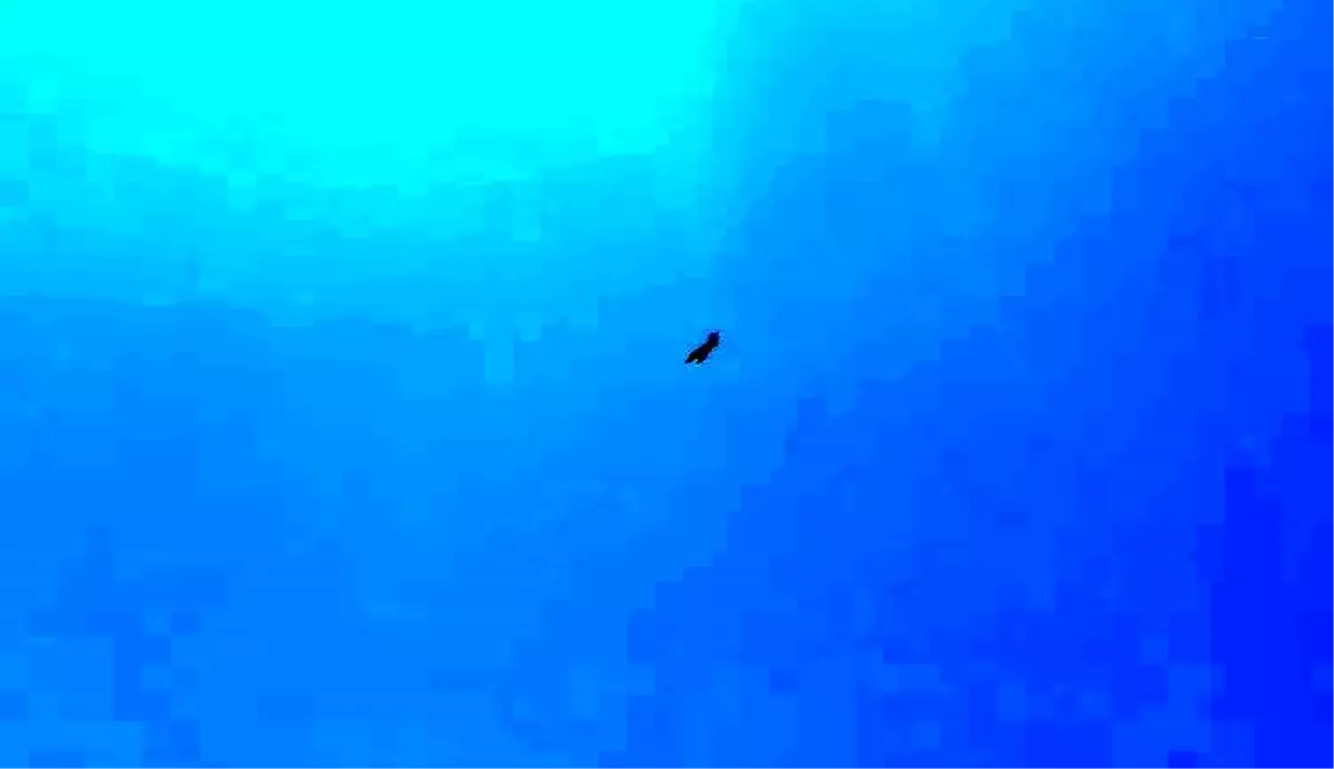 Adıyaman\'da F-16 Heyecanı