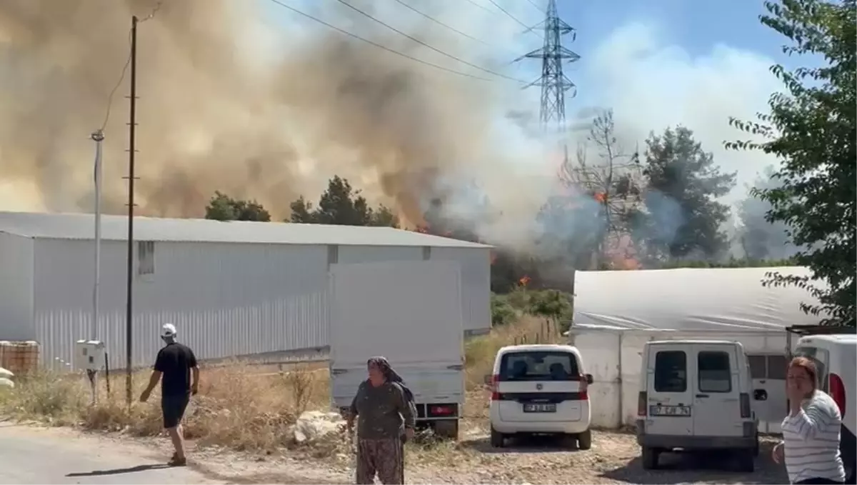Aksu\'da Orman Yangını Çıktı