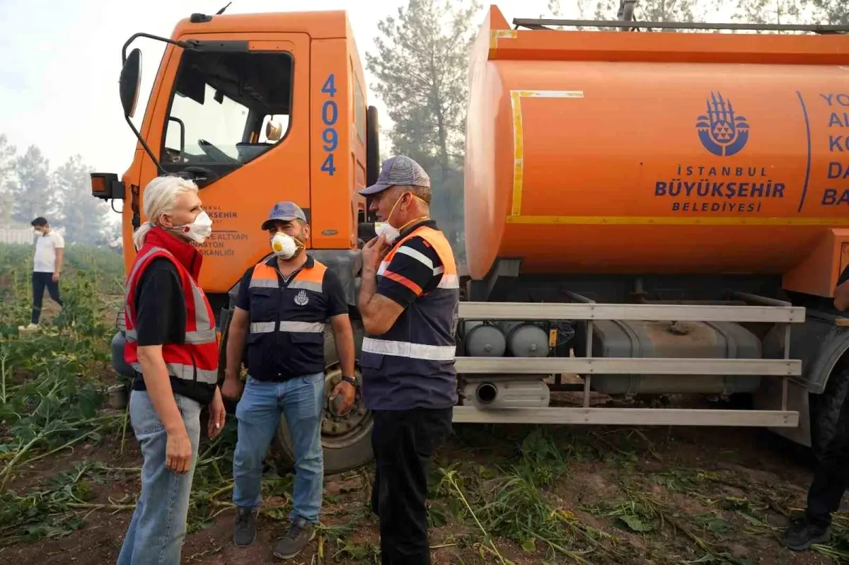 Bilecik\'te Orman Yangınlarına Anında Müdahale
