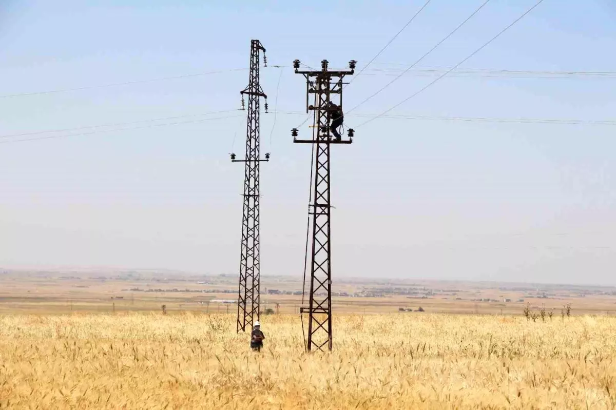 Dicle Elektrik\'ten Borçlu Abonelere Enerji Kesintisi