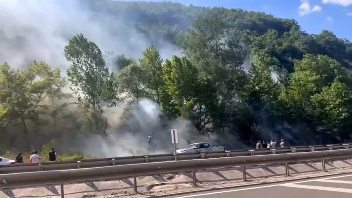 İnegöl\'de Orman Yangınına Müdahele Devam Ediyor