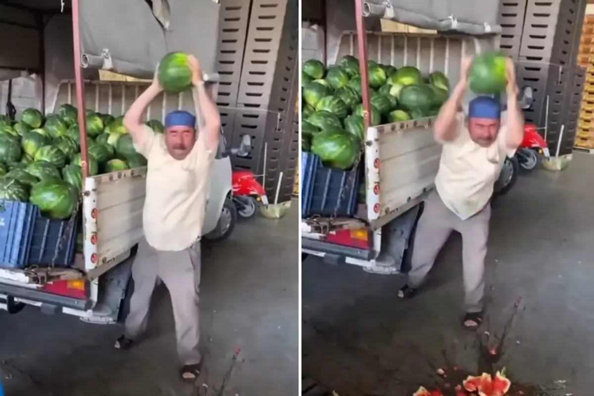 Görüntü Türkiye\'den! Vatandaş ucuza yemesin diye hepsini tek tek parçaladı