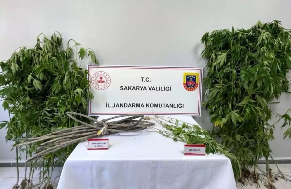 Uyuşturucu Operasyonunda 1 Kişi Tutuklandı