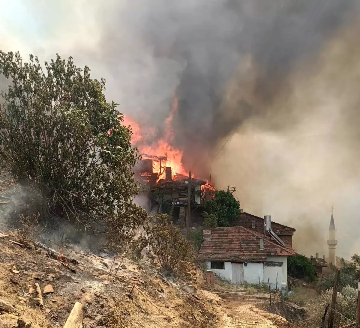 İzmir\'de Orman Yangını: Yatalak Hasta Hayatını Kaybetti