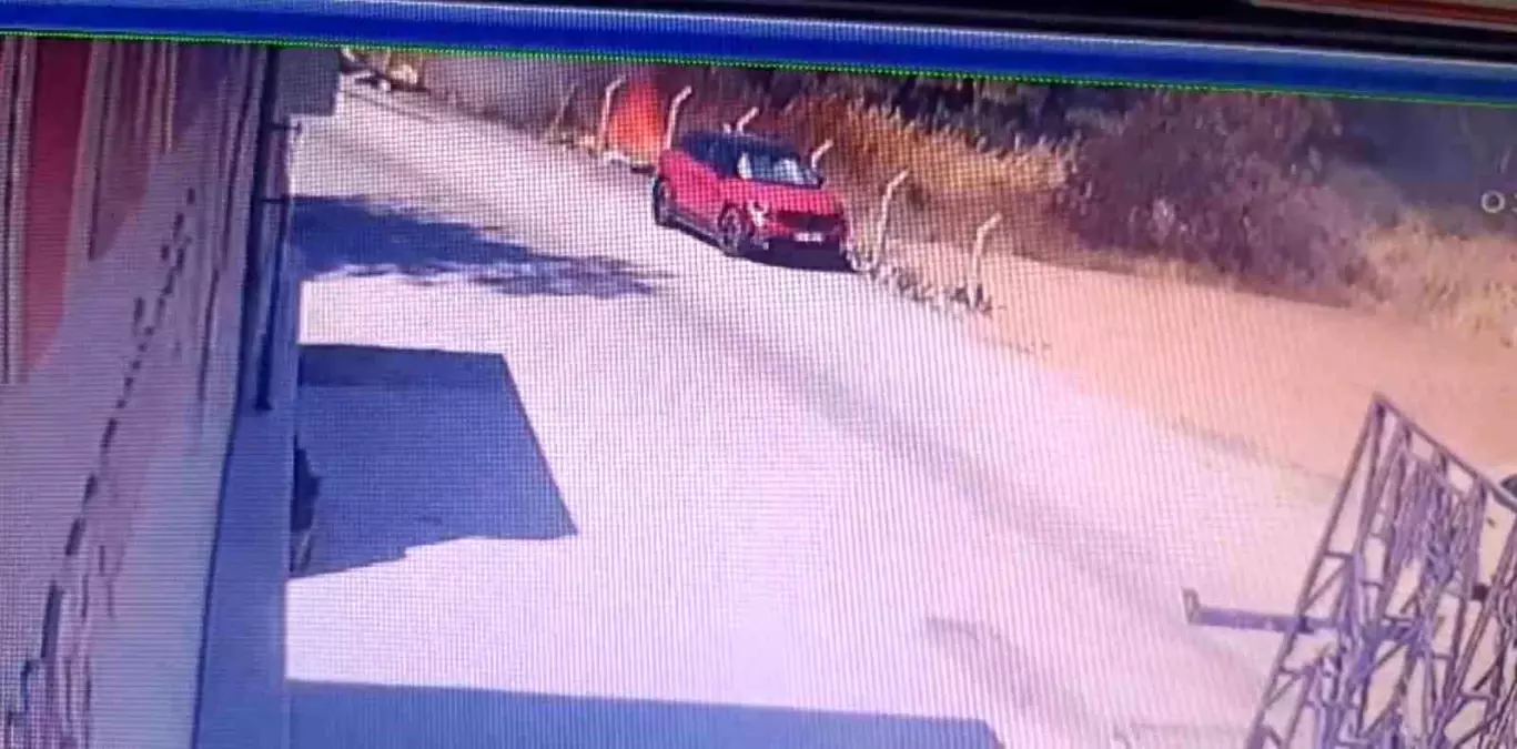 İzmir\'de Orman Yangını: Kaçak İnşaat Sebep Oldu
