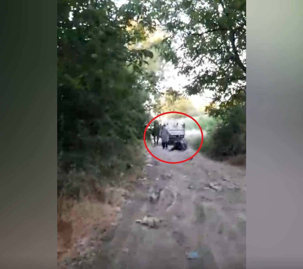 İneği Sürükleyen Sürücüye Tepki