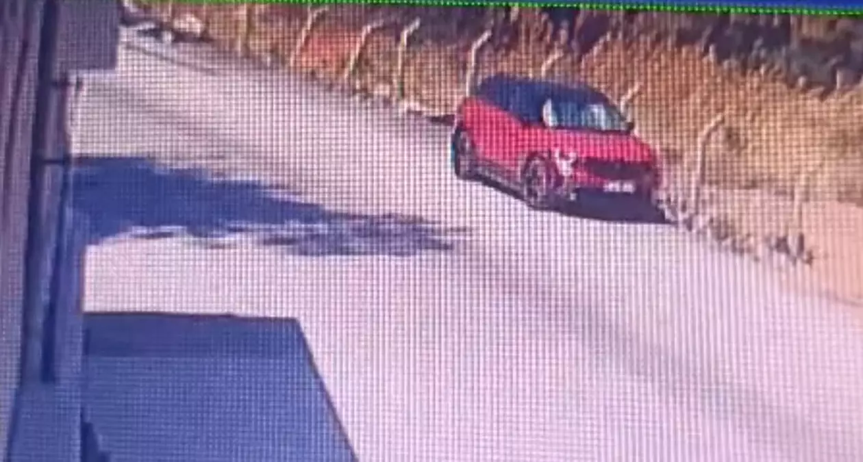 Orman Yangını Nedeniyle 5 Gözaltı