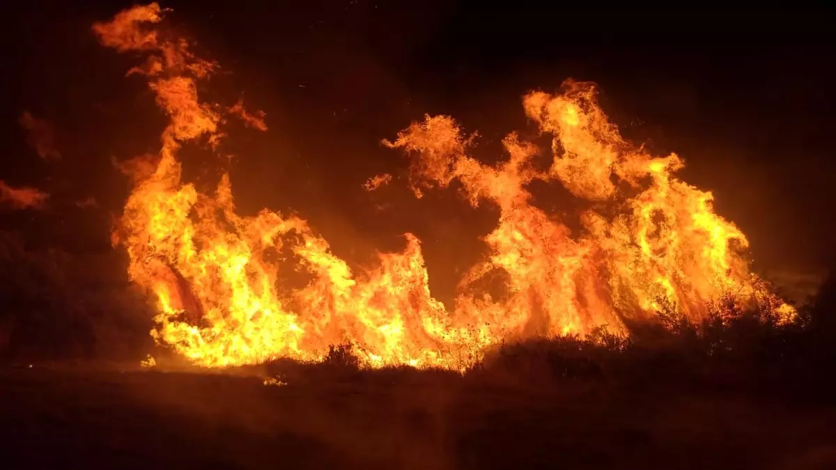 Manavgat\'ta Tarım Arazisinde Yangın, Kısa Sürede Söndürüldü