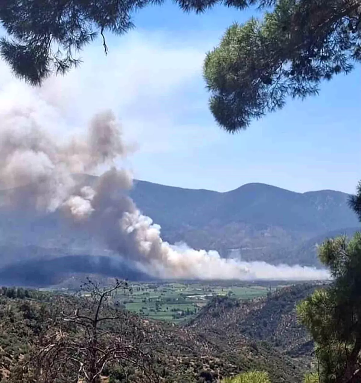 Muğla\'da Yangın Alarmı: Pınarcık Mahallesi\'nde Yangın Çıktı