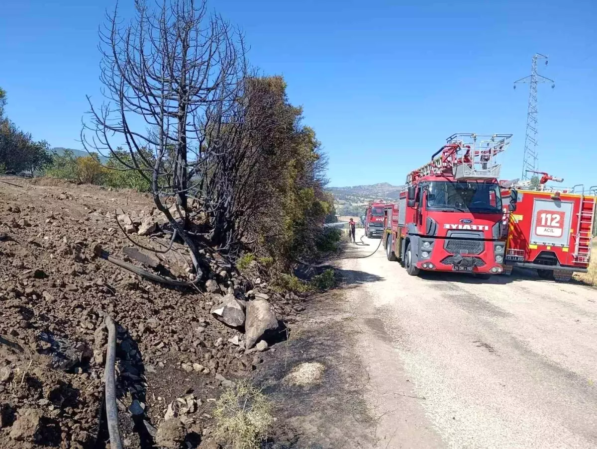 Burdur\'da Çıkan Yangın 5 Dönüm Tarım Arazisine Zarar Verdi