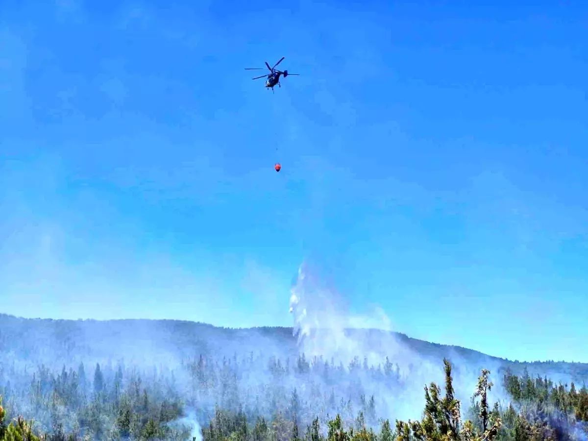 Çanakkale\'de Orman Yangını Kontrol Altına Alındı