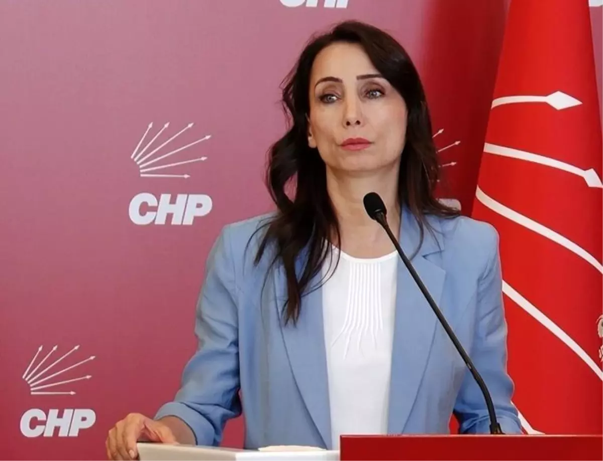 CHP Genel Başkanı Özgür Özel, DEM Parti Eş Genel Başkanı Tülay Hatimoğulları ile Görüştü