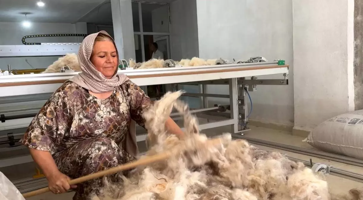 Cemile Şahin\'in Yün Girişimi