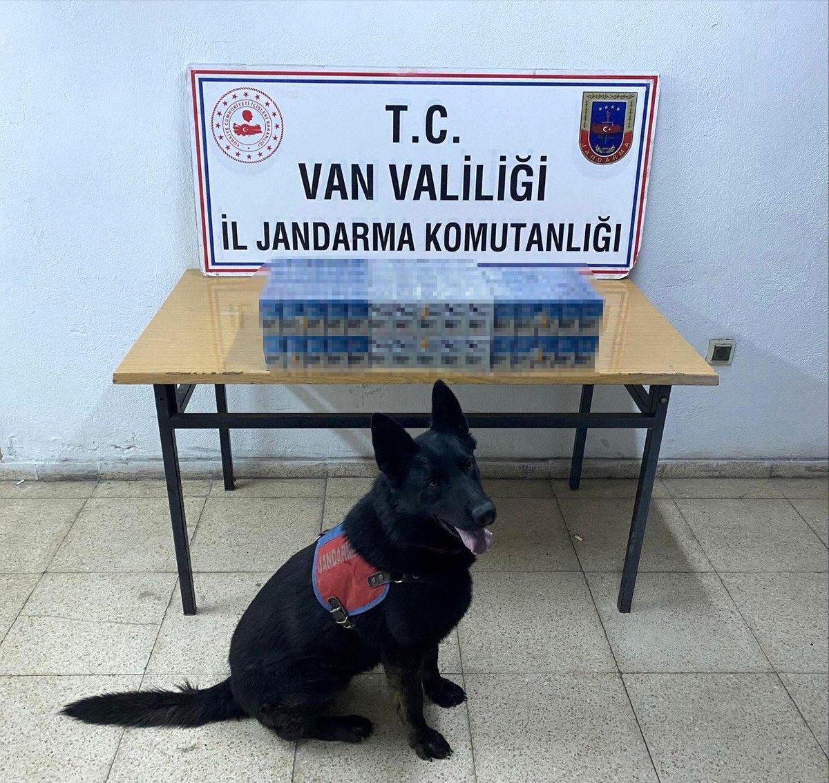 Van\'da Kaçakçılık Operasyonları: 10 Gözaltı
