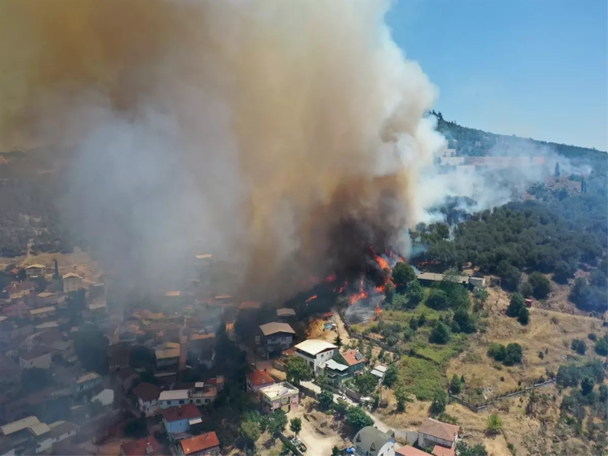 Bursa\'da Ormana Girişler Yasaklandı