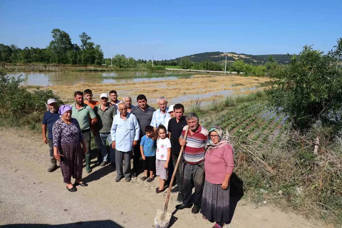 Bafra\'da Su Taşkını: Üreticiler Mağdur