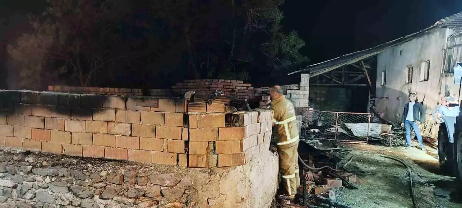 Burdur\'da Yangın: 10 Hayvan Telef Oldu